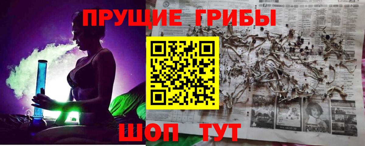 Холмск  Галлюциногенные грибы прущие грибы  Галлюциногенные грибы Cubensis  Вход с VPN 
